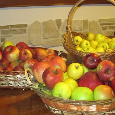 Il Rifugio Nel Parco Bed and Breakfast *