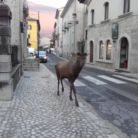 Bed & Breakfast Il Rifugio Nel Parco *