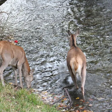 Il Rifugio Nel Parco * Villetta Barrea