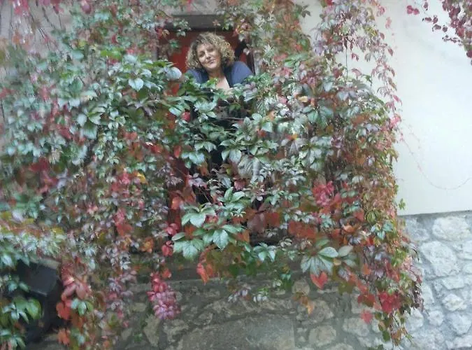 Il Rifugio Nel Parco לינה וארוחת בוקר *