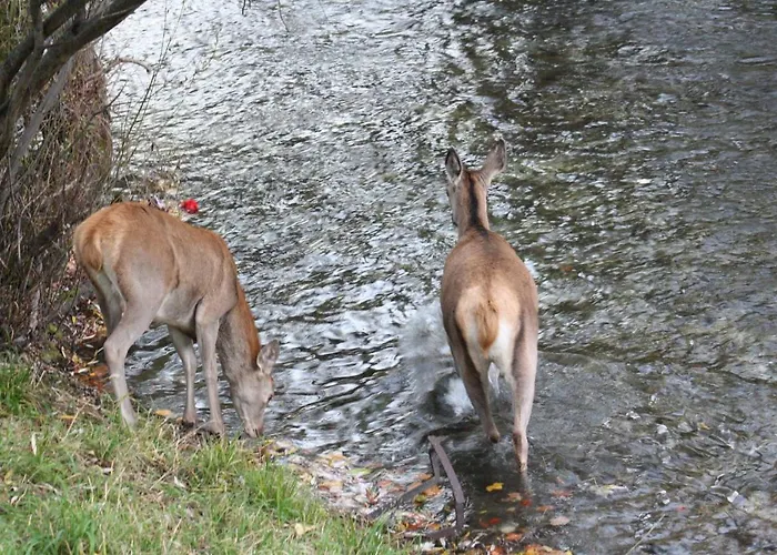 Il Rifugio Nel Parco * וילטה בריאה
